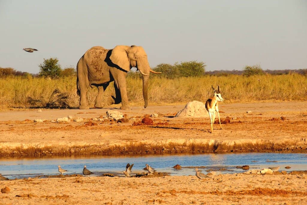 Historical Significance