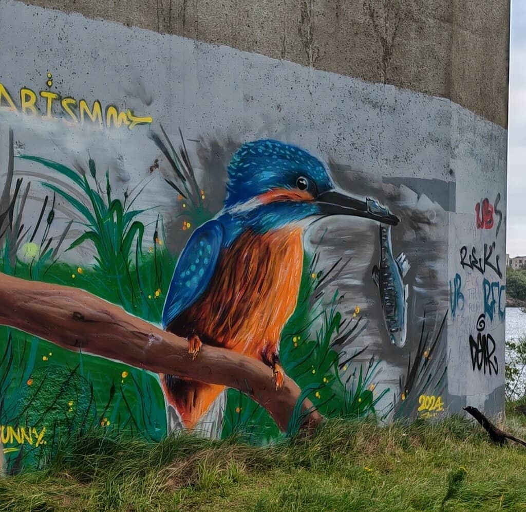 Erskine Bridge Views