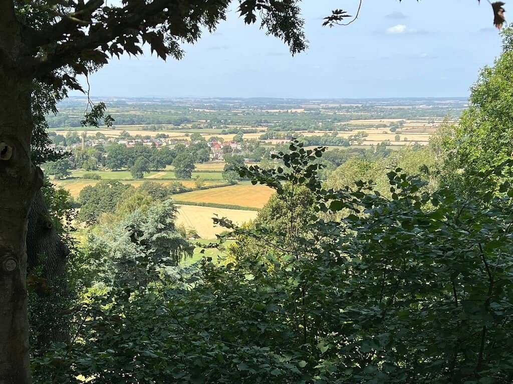 Panoramic Views