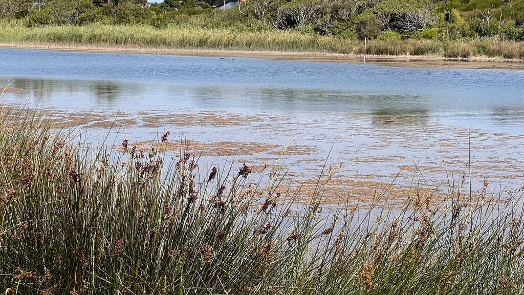 Nature Trails & Views