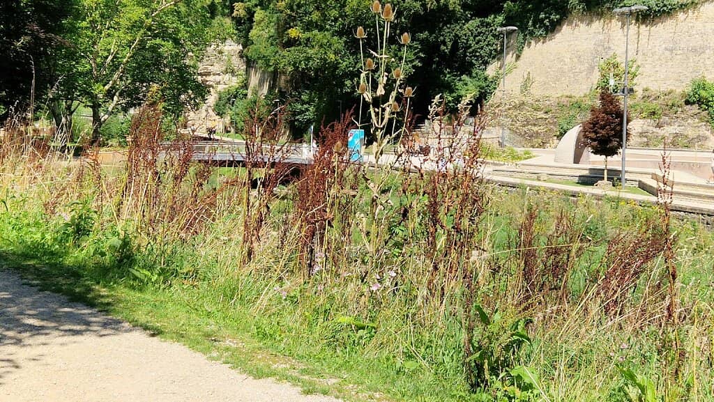 Scenic Running Paths