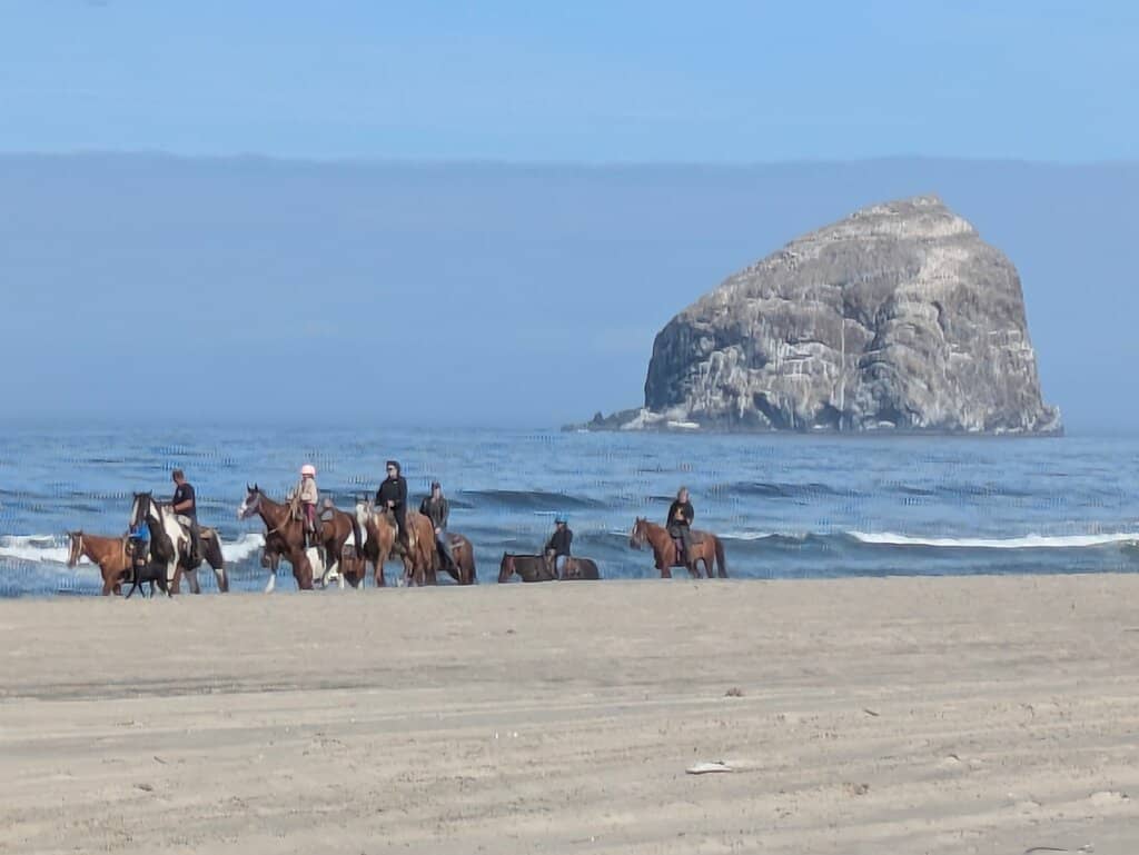 Equestrian Trails