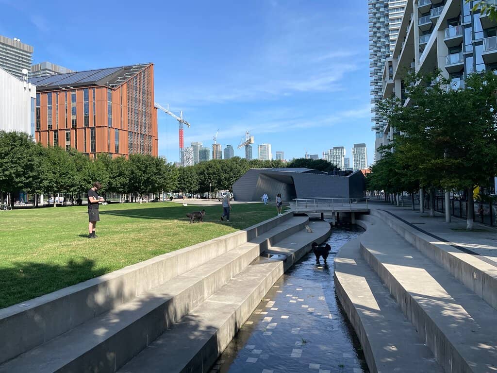 The Water Feature