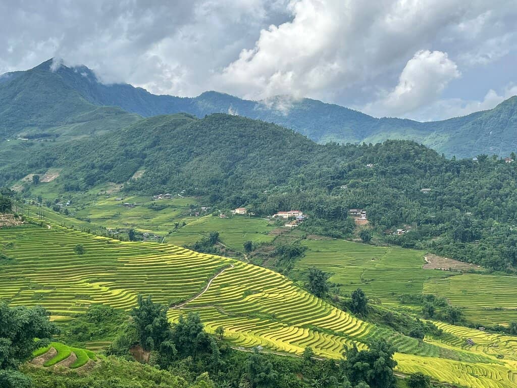 Peaceful Valley Ambiance