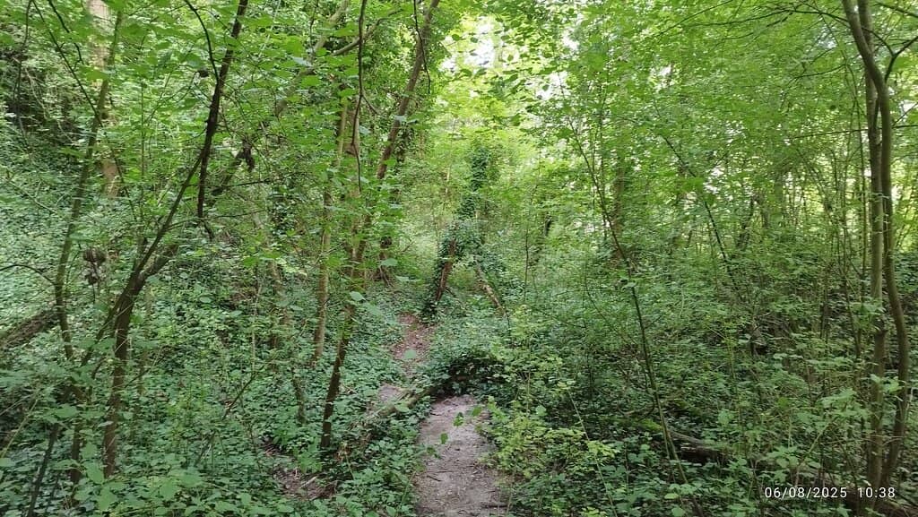 Claude Monet's Inspiration