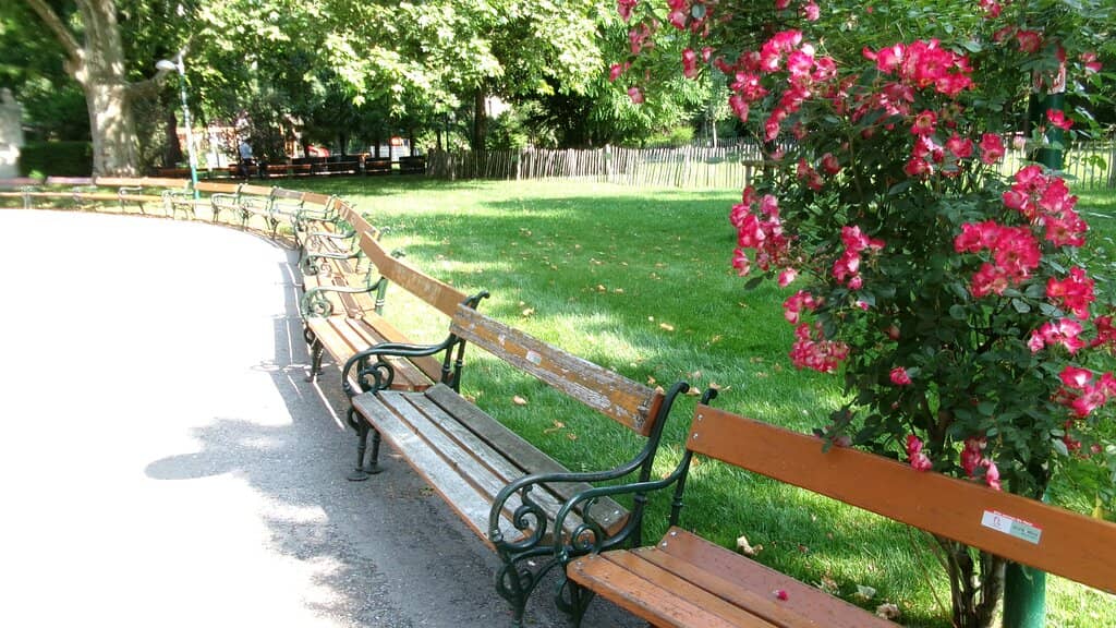 Vienna Ice Dream