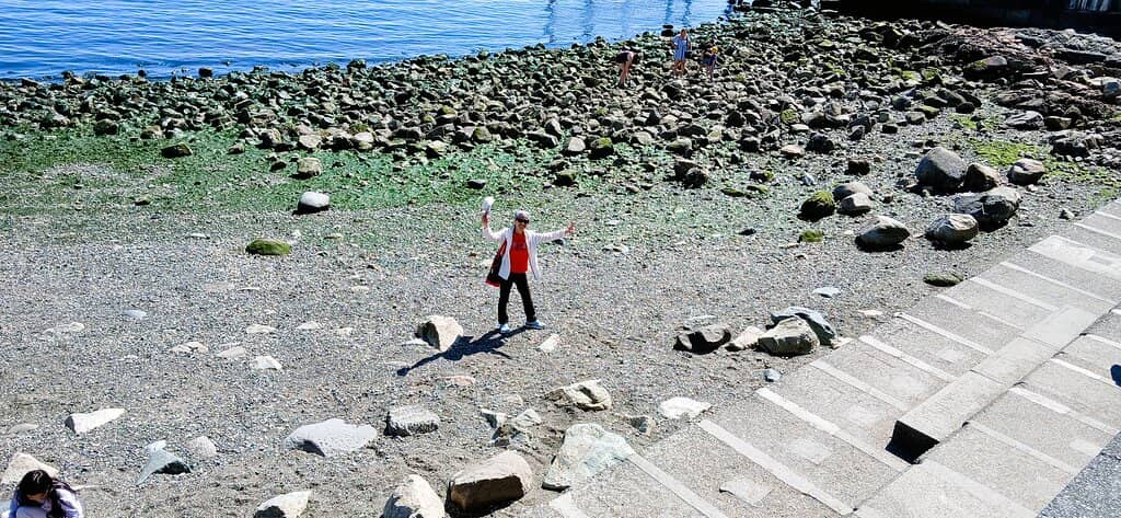 Panoramic Ocean Views