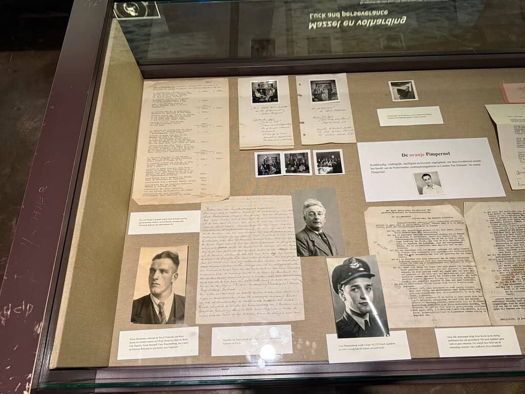 Individual Lifelines