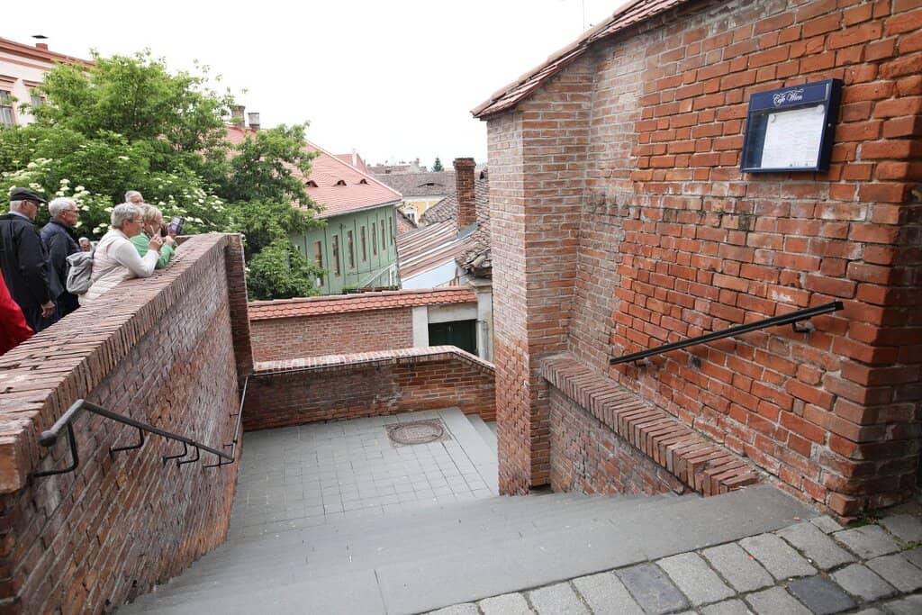 Timeless Cobblestone Path