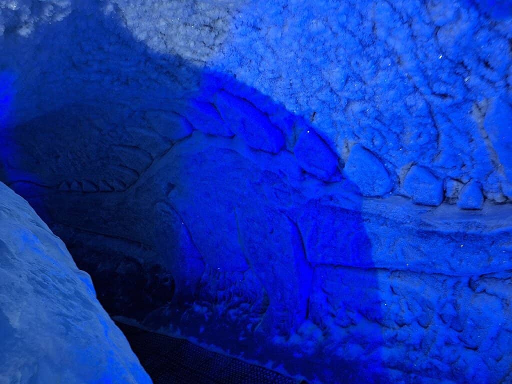 The Ice Tunnel Experience