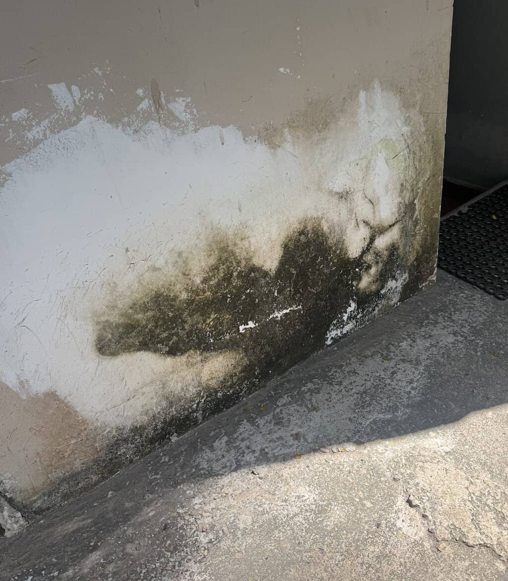 Lush Gardens & Beachfront