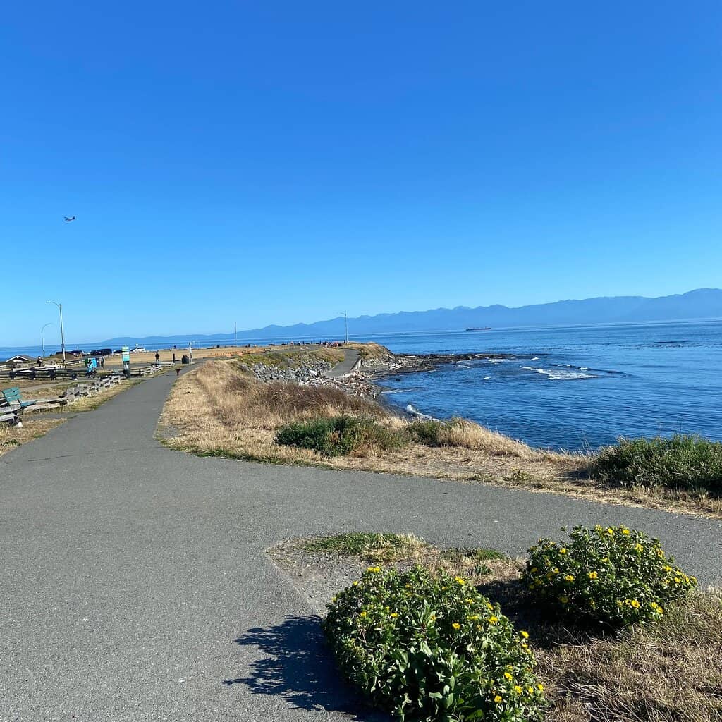 Windsurfer & Kite Flyer Spectacle