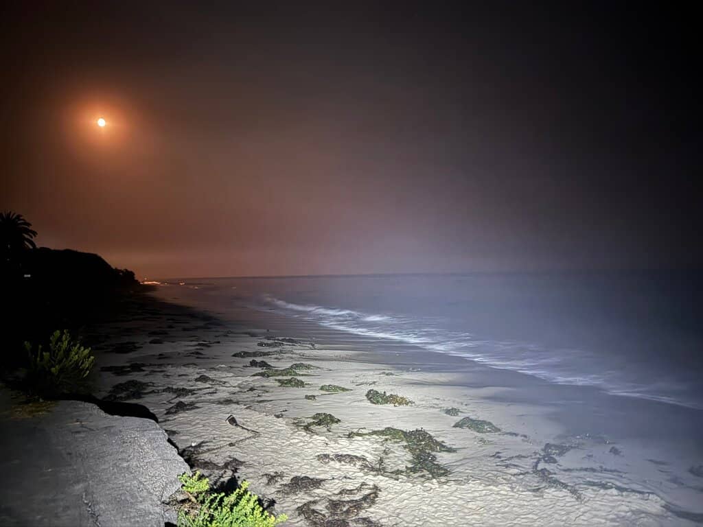 Scenic Beach Views