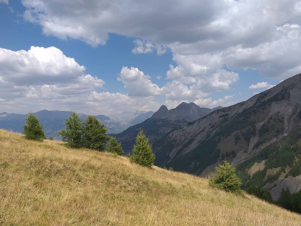 Vertical photo