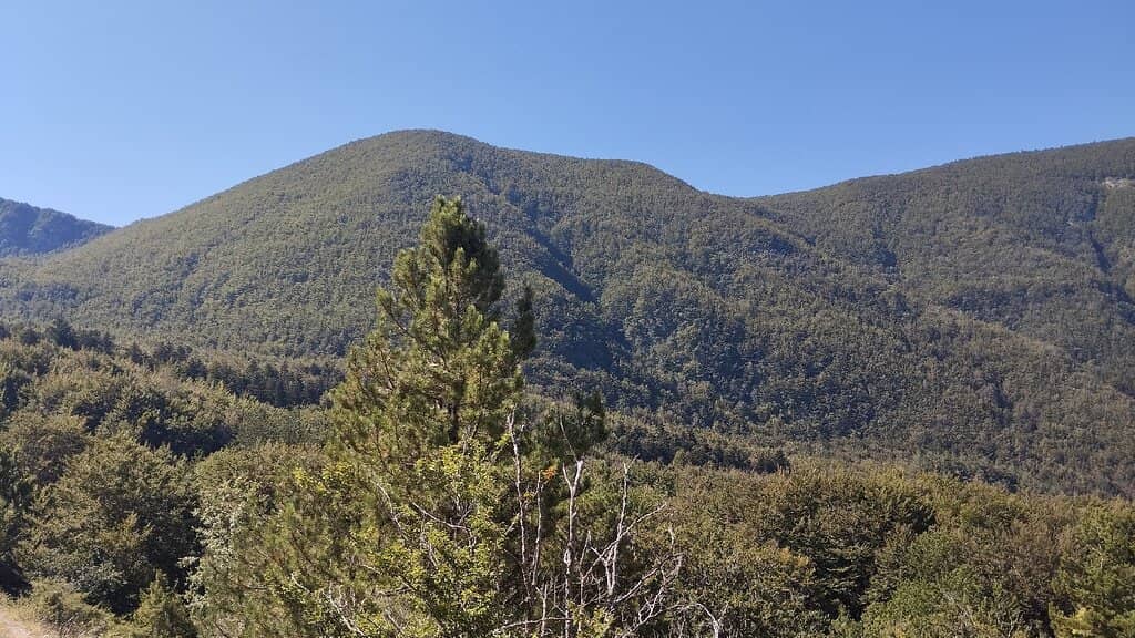 Casentinesi Forests National Park