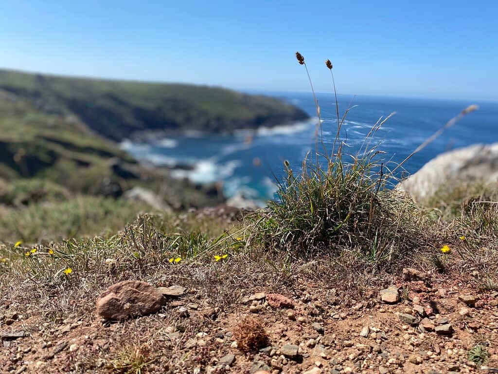 Coastal Path Exploration