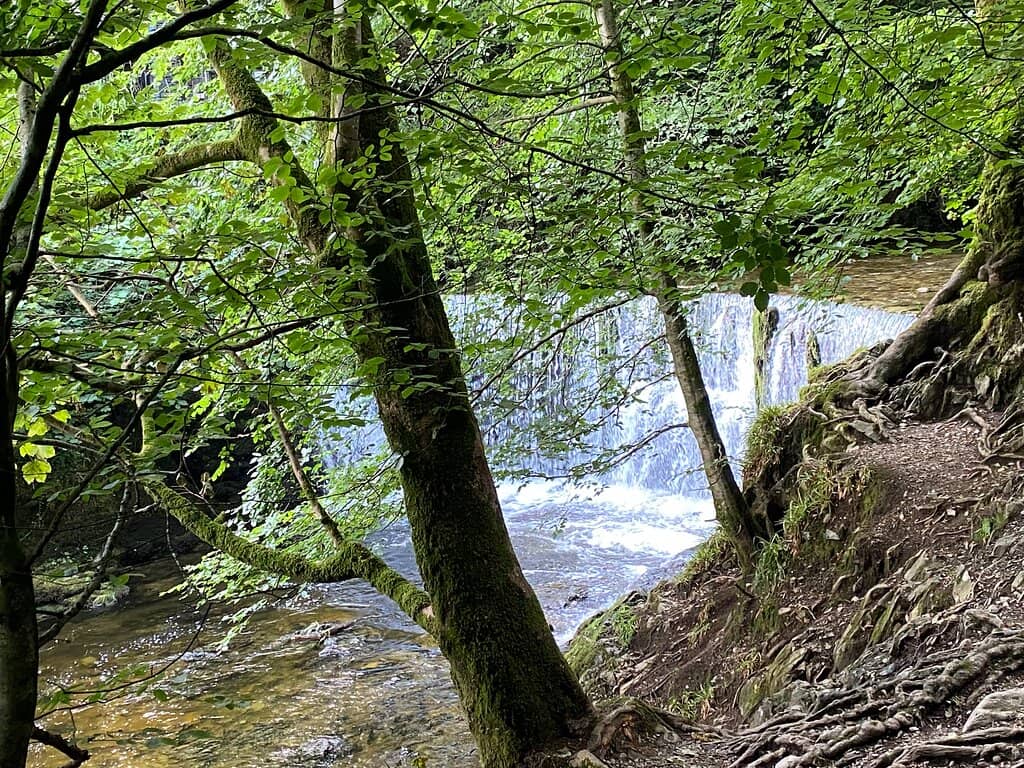 Skelghyll Woods