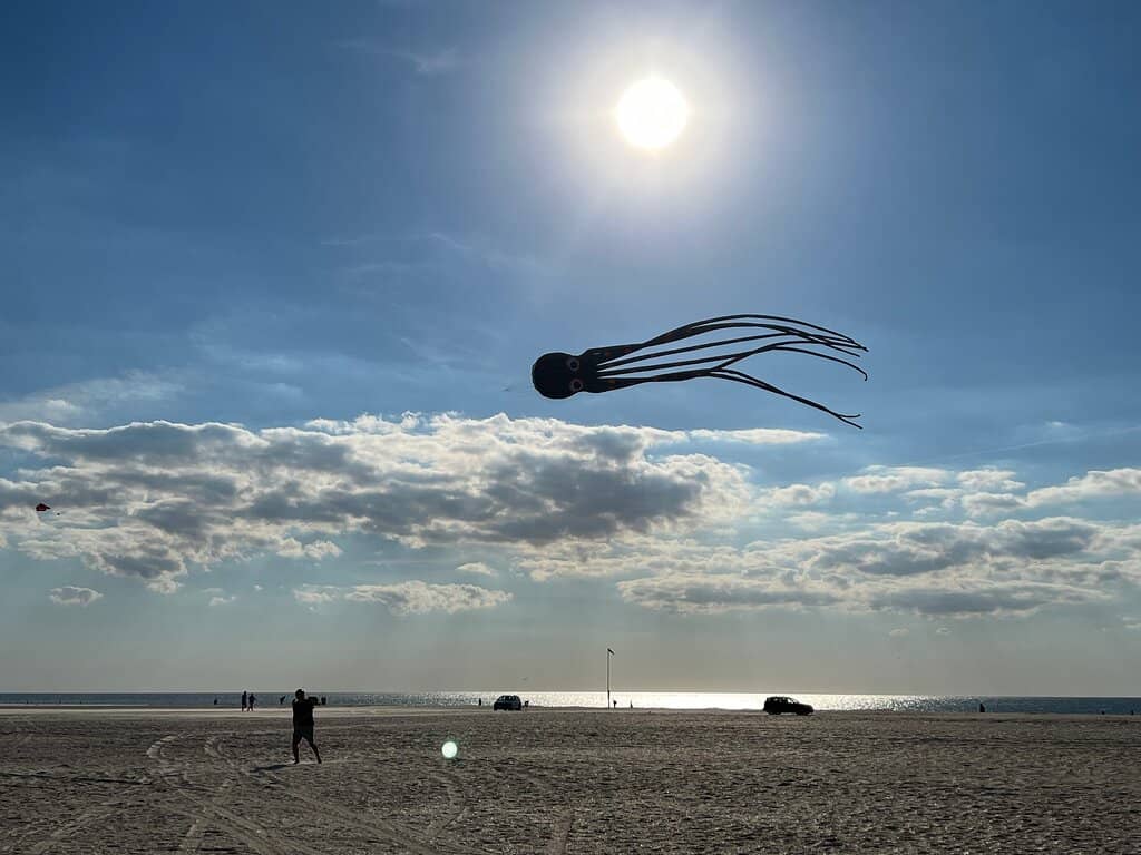 Wadden Sea Exploration