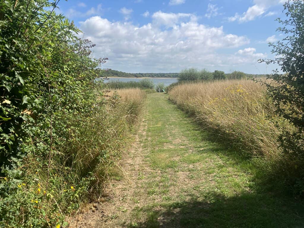 Bird Hide