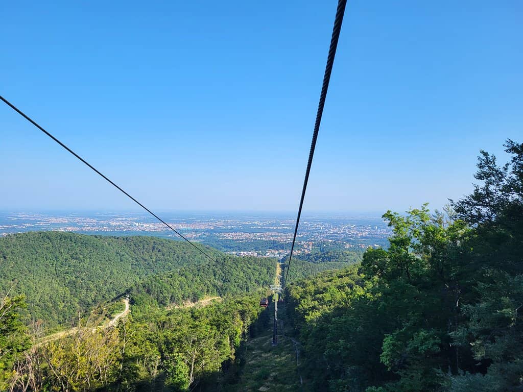 Vertical photo