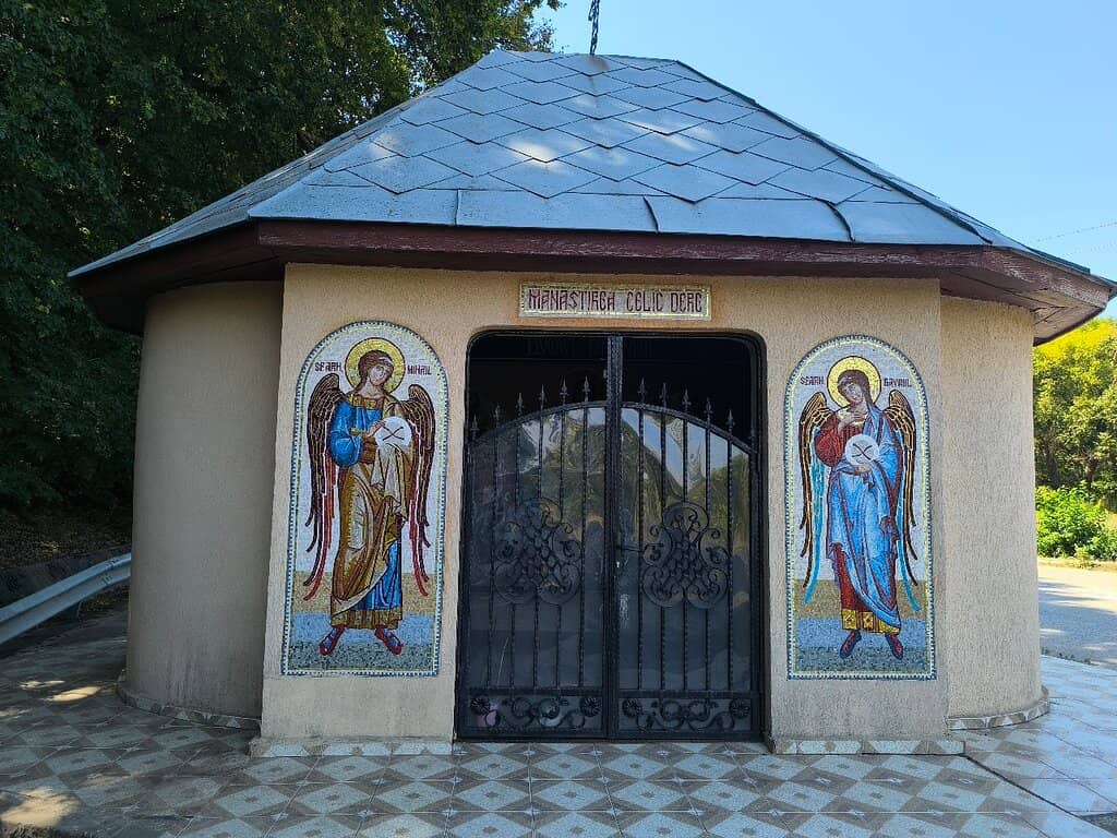 Tranquil Forest Setting