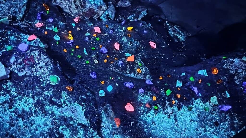 The Luminescent Rooms