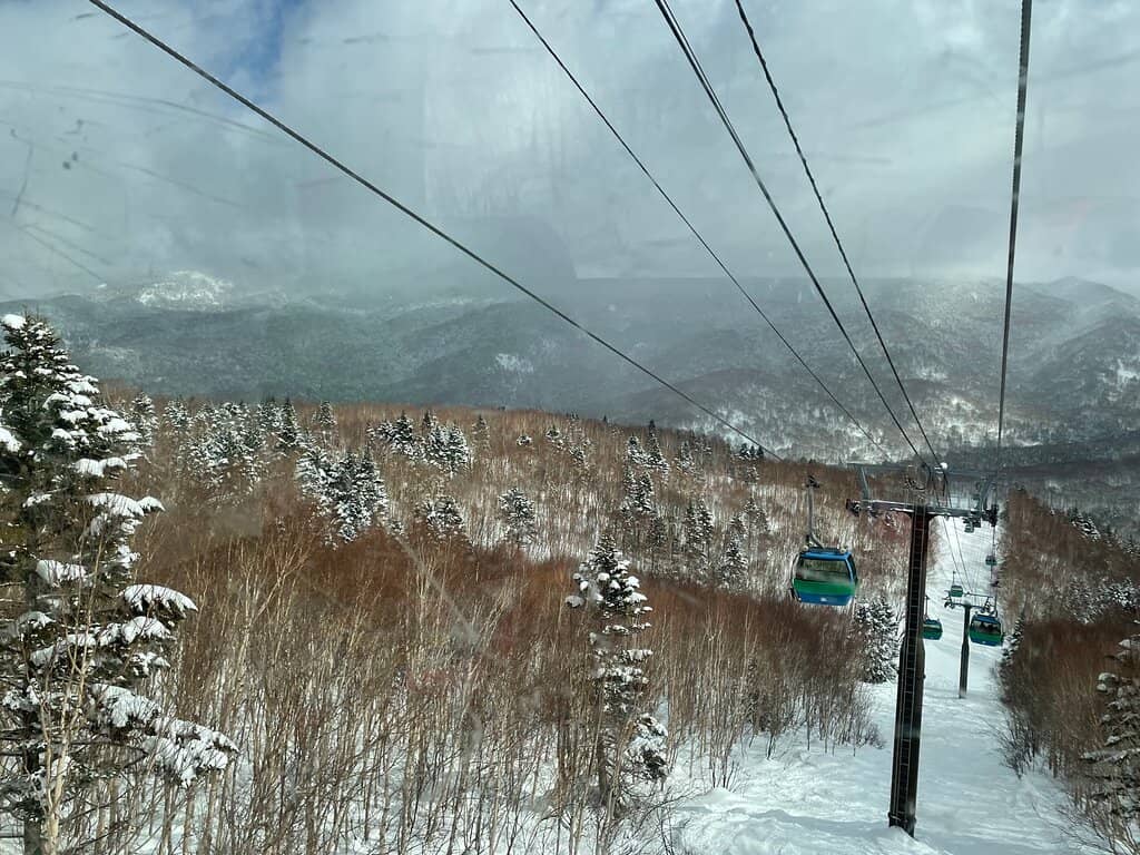 Vertical photo