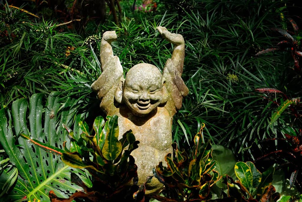 Artistic Installations