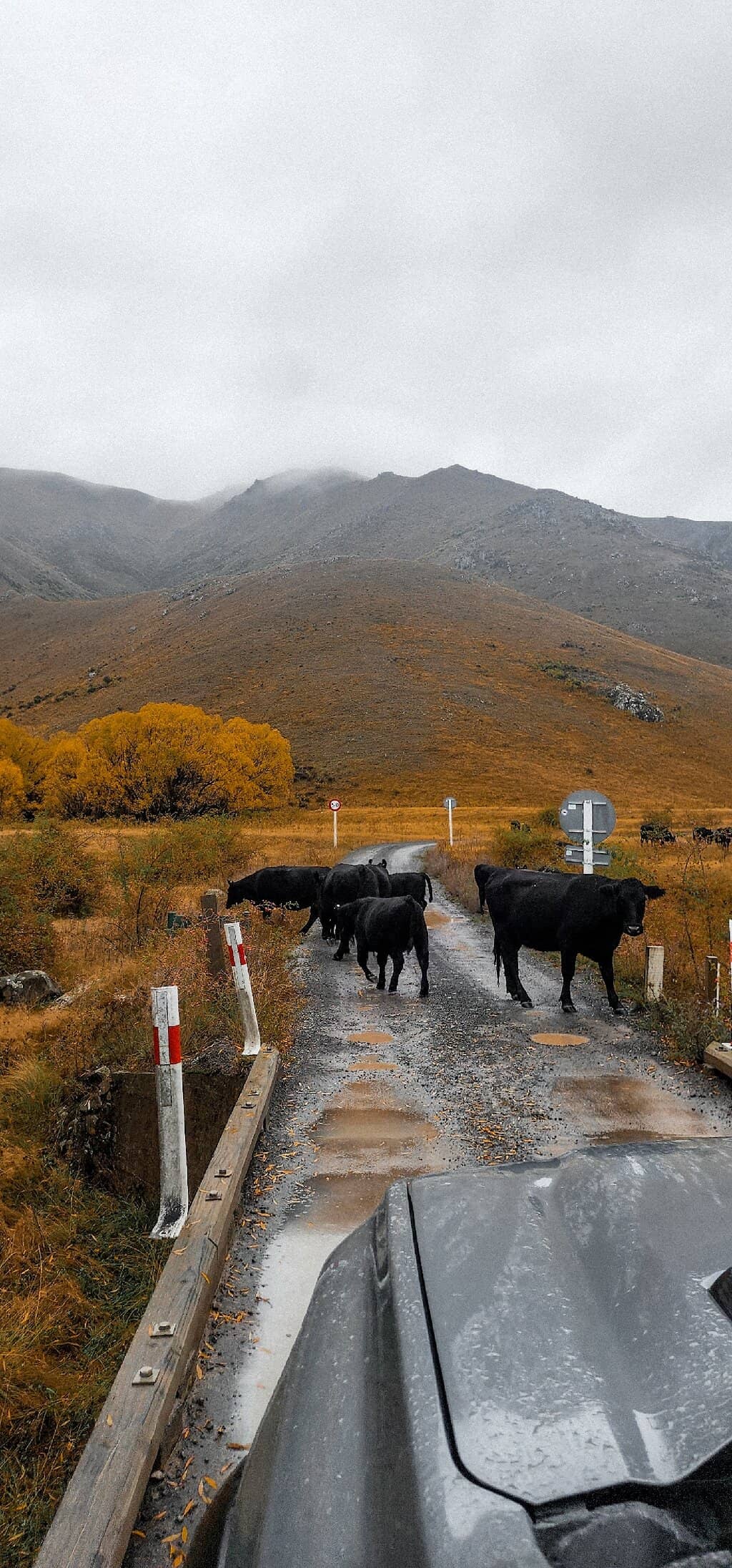 Scenic River Views & Bridges