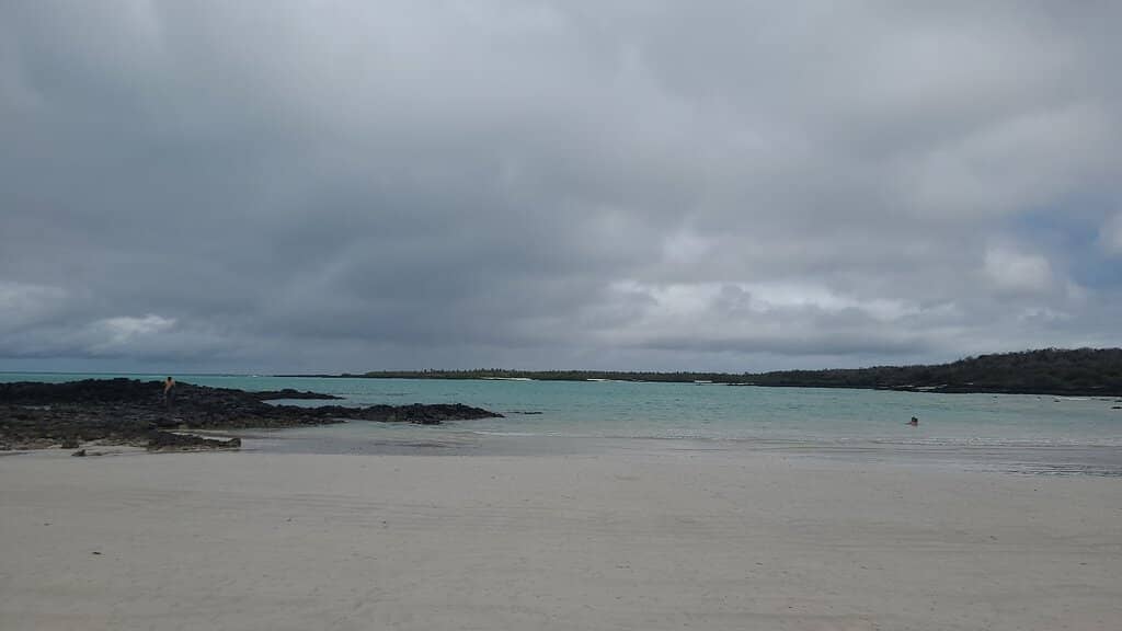 Secluded Swimming