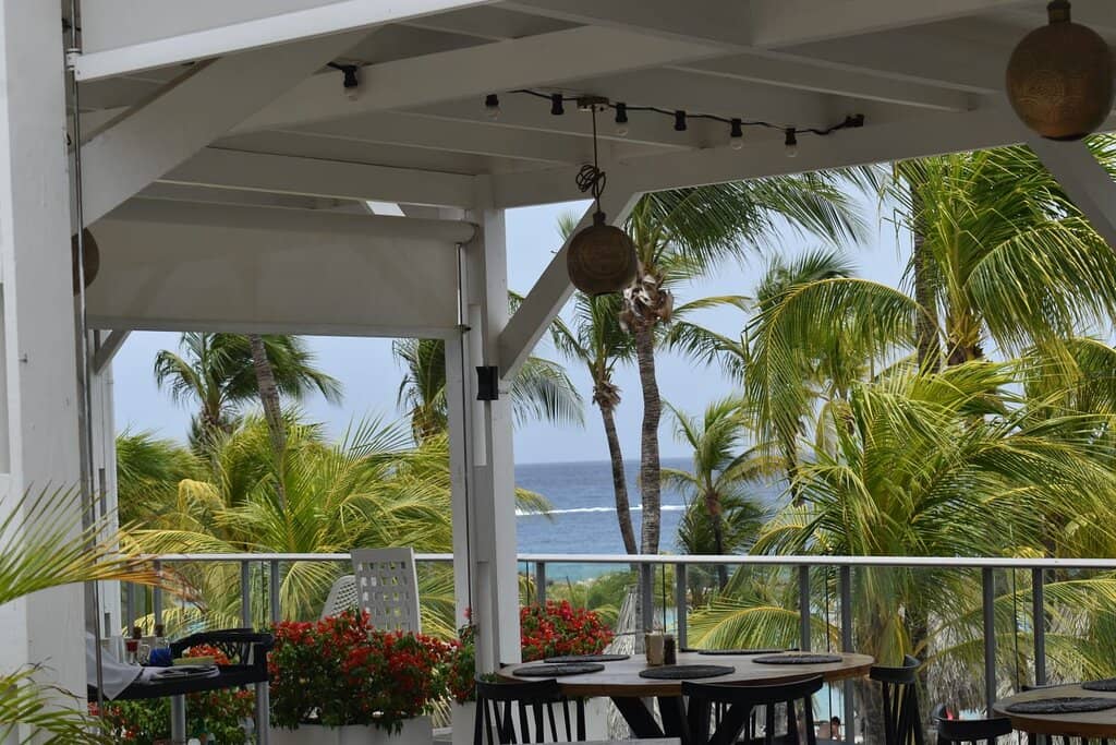 Scenic Ocean View Dining