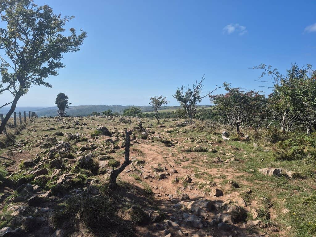 Jacob's Ladder Staircase (St. Helena)