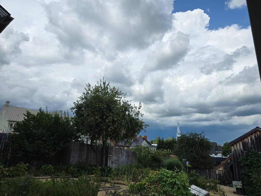 Immersive Guided Tours