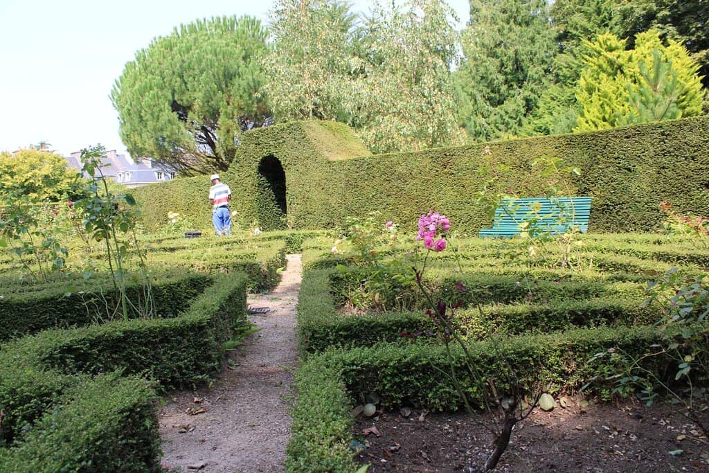 The Back Garden
