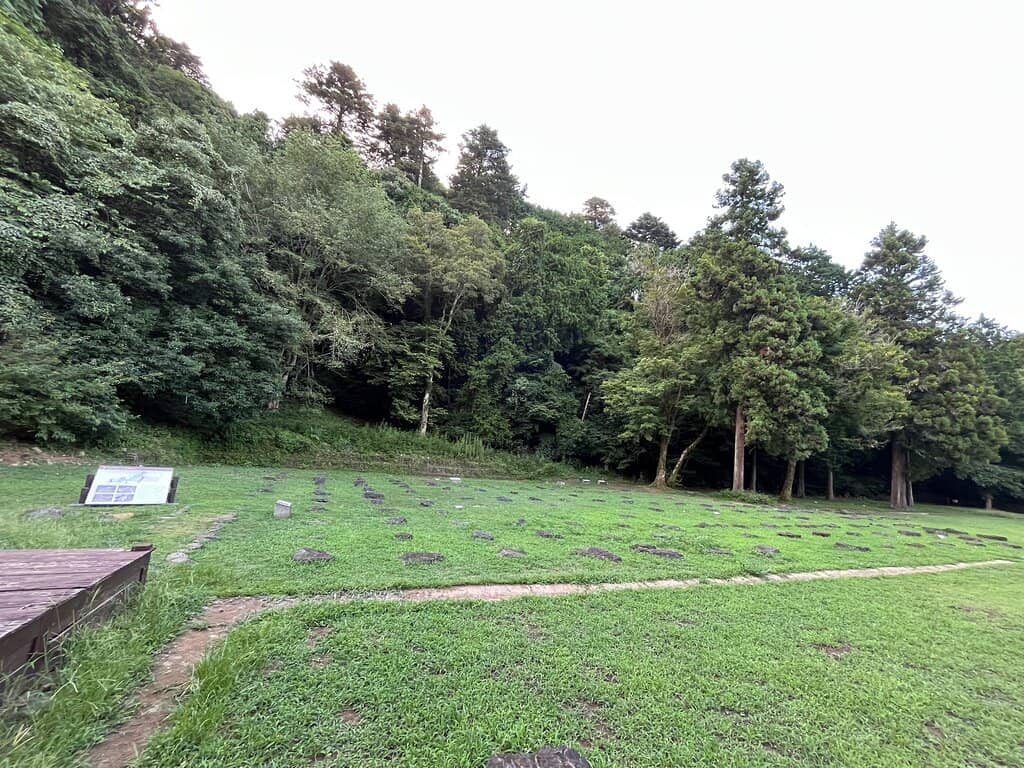 Forest Trails
