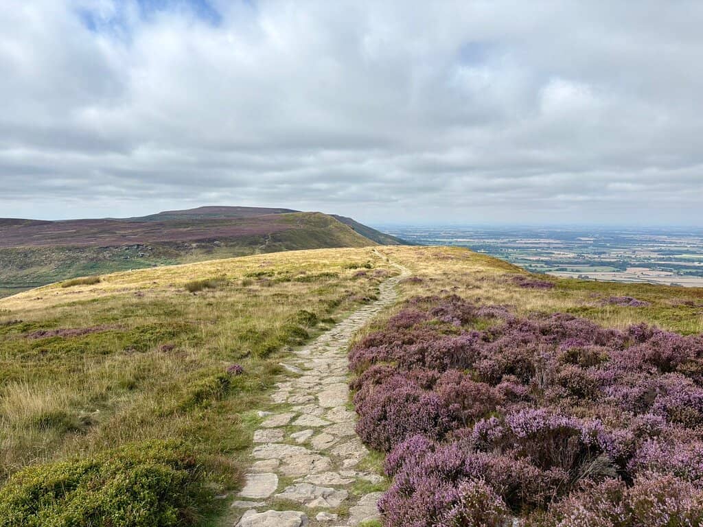 Panoramic Moorland Views