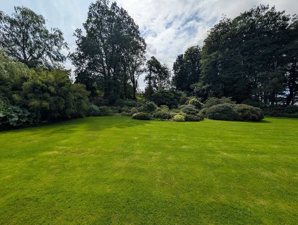 Red Kite Feeding Station
