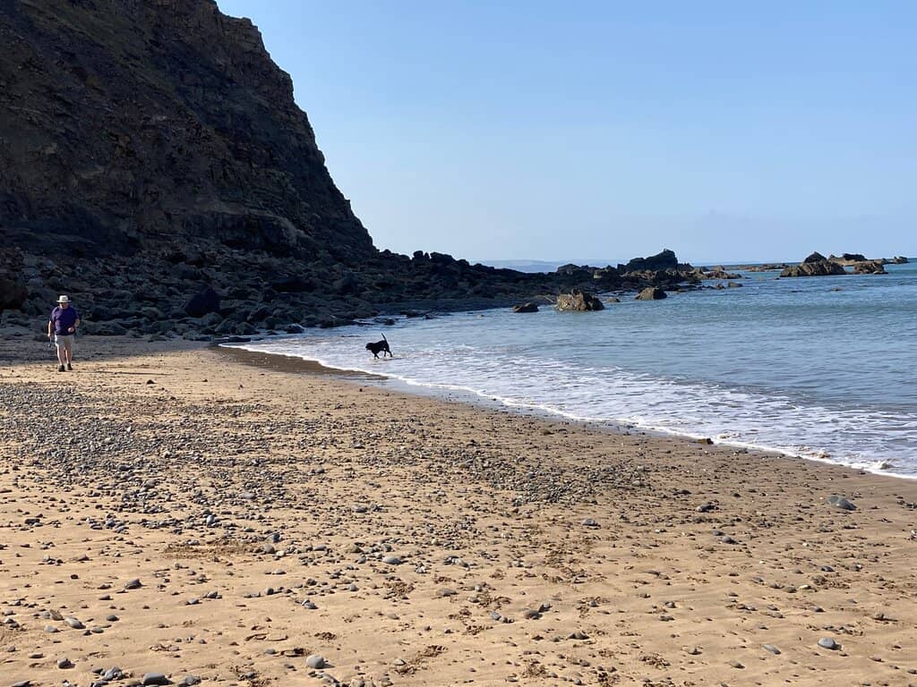 Coastal Path Views