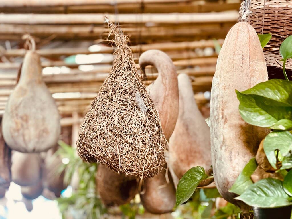 Unique Coffee Creations