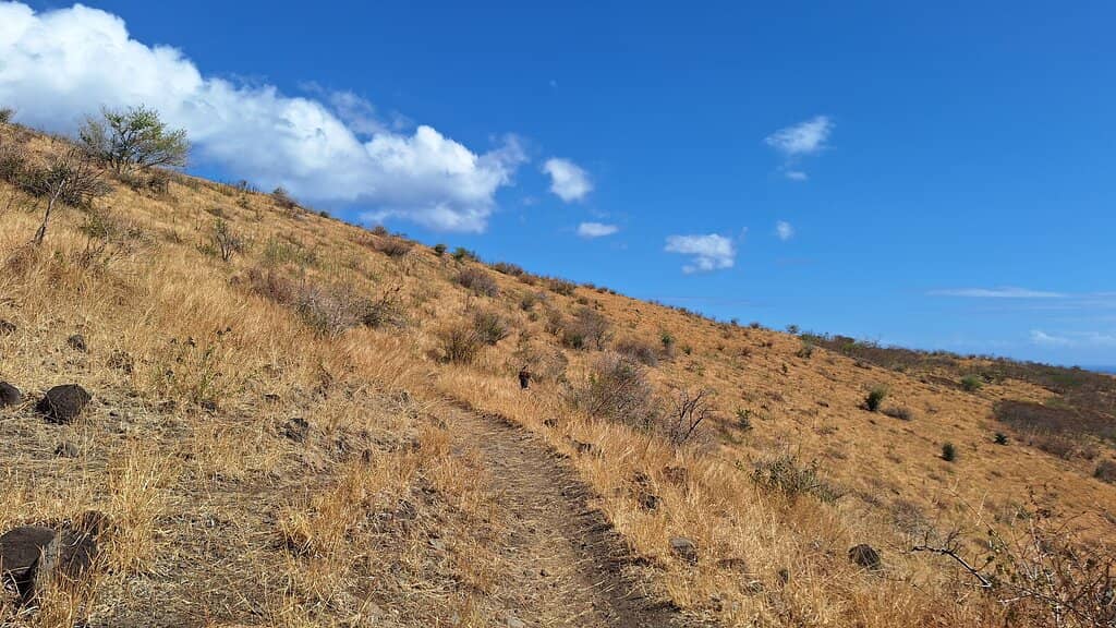 Snorkeling & Diving Paradise