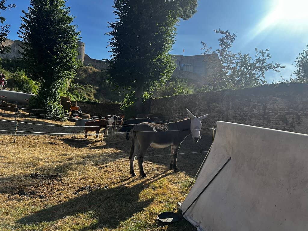 Restored Castle Grounds