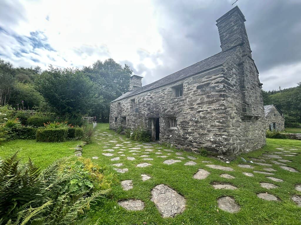 Tranquil Woodland Walk