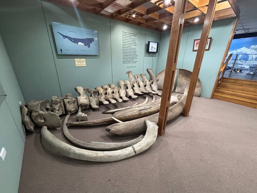 Regional History & Exploration