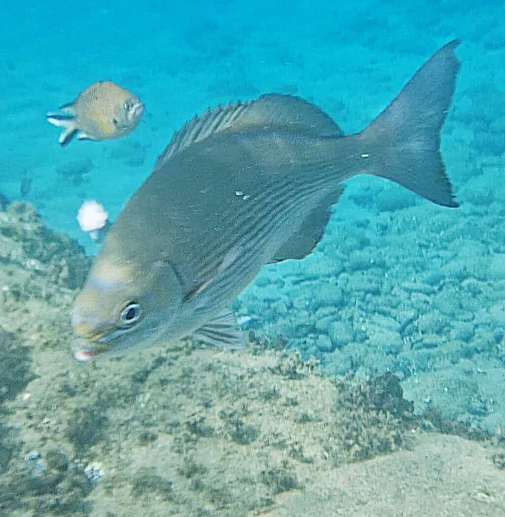 Montaña Roja Volcano