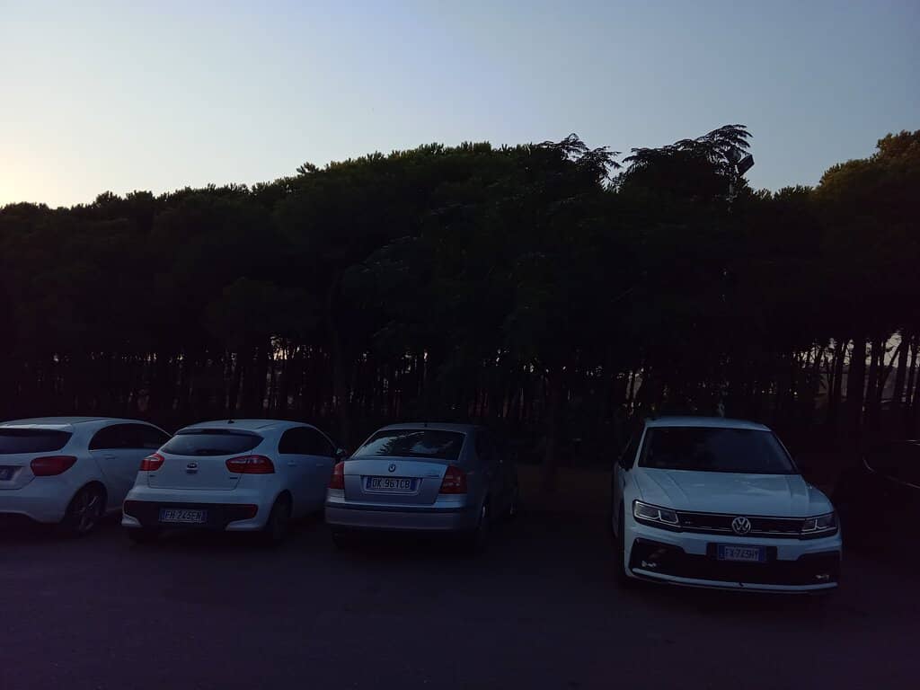 Vertical photo