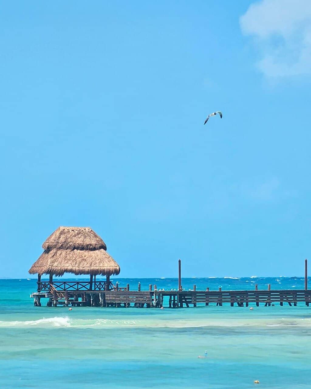 Infinity Pool with Ocean View