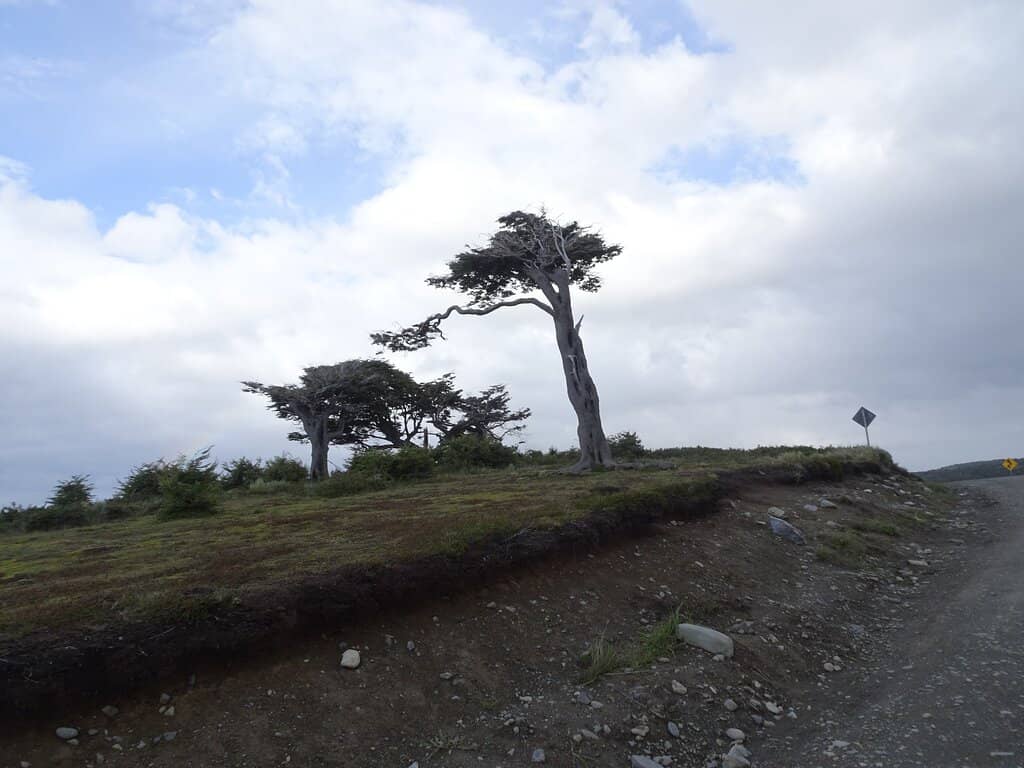 Historic Estancia Buildings