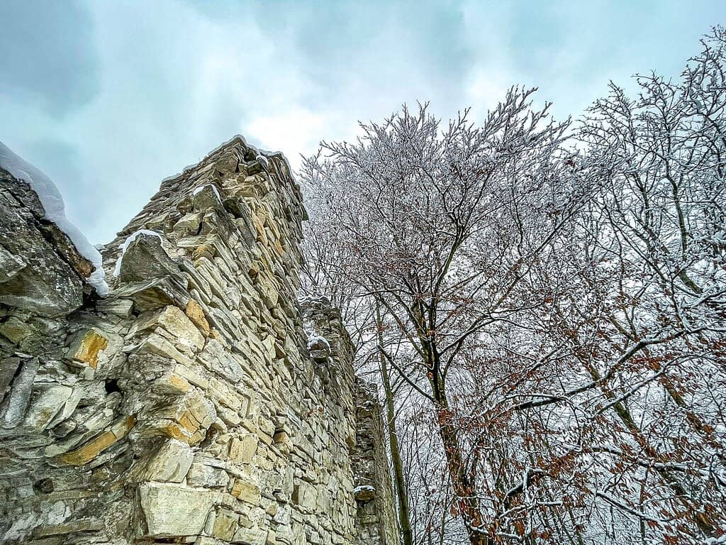 Vertical photo