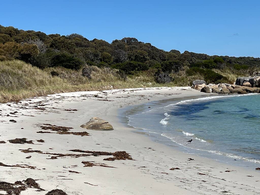 Beerbarrel Beach