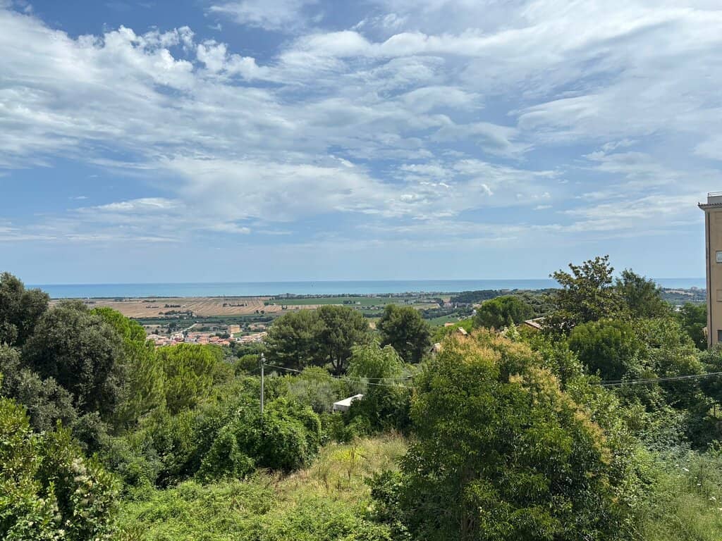 Panoramic Viewpoints